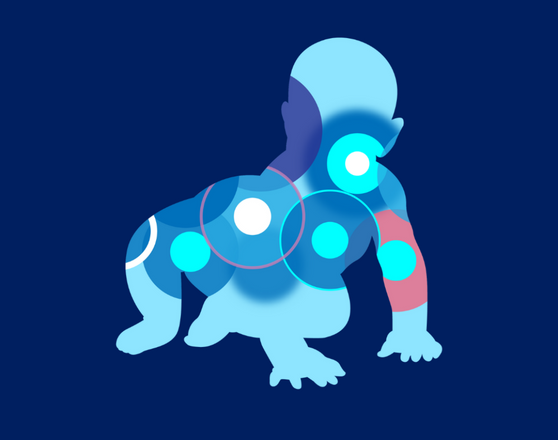 Definitely worth the cost